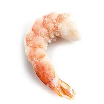 Proteins